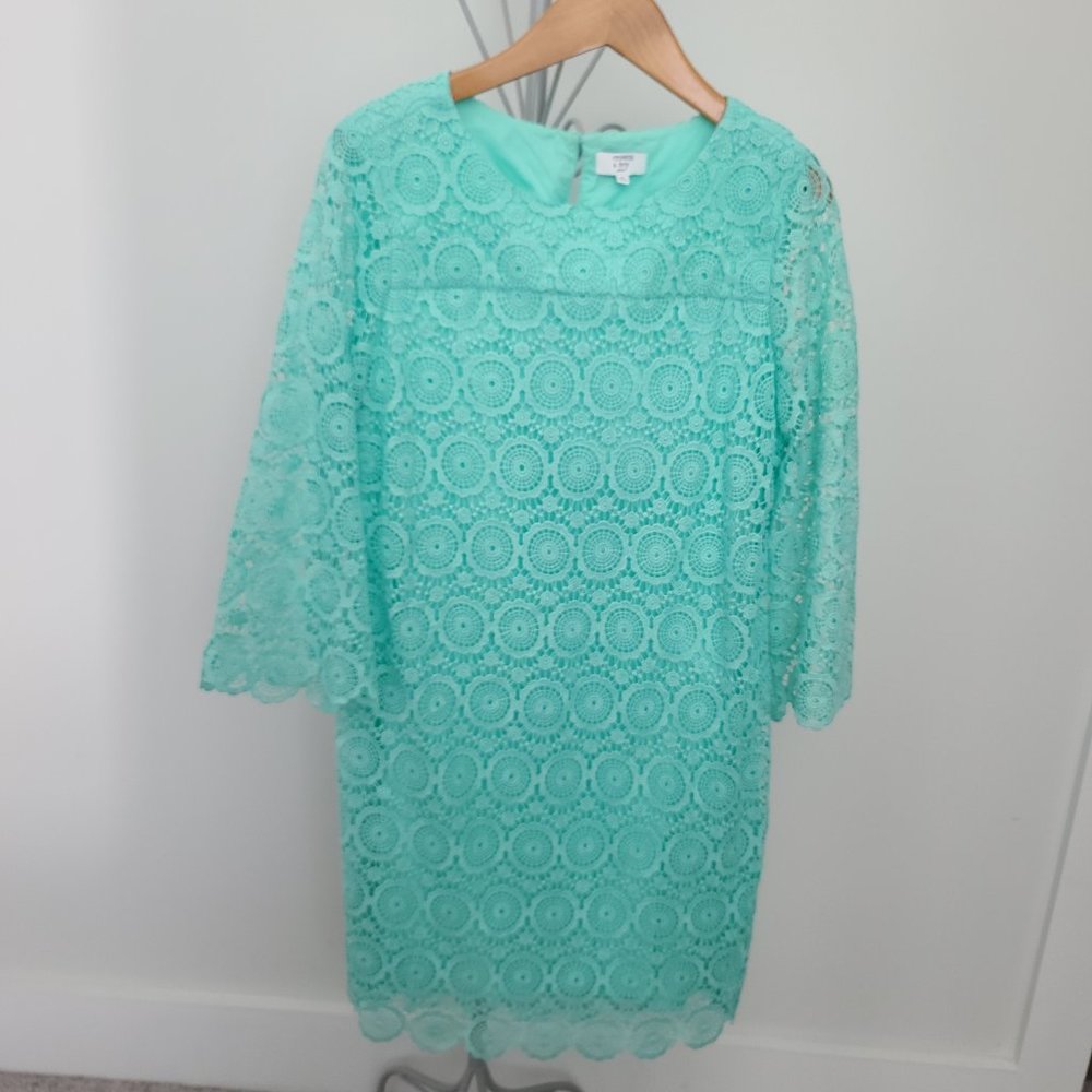 Crown & Ivy Womens 6 Petite Dress, Crocheted Lace, Lined
